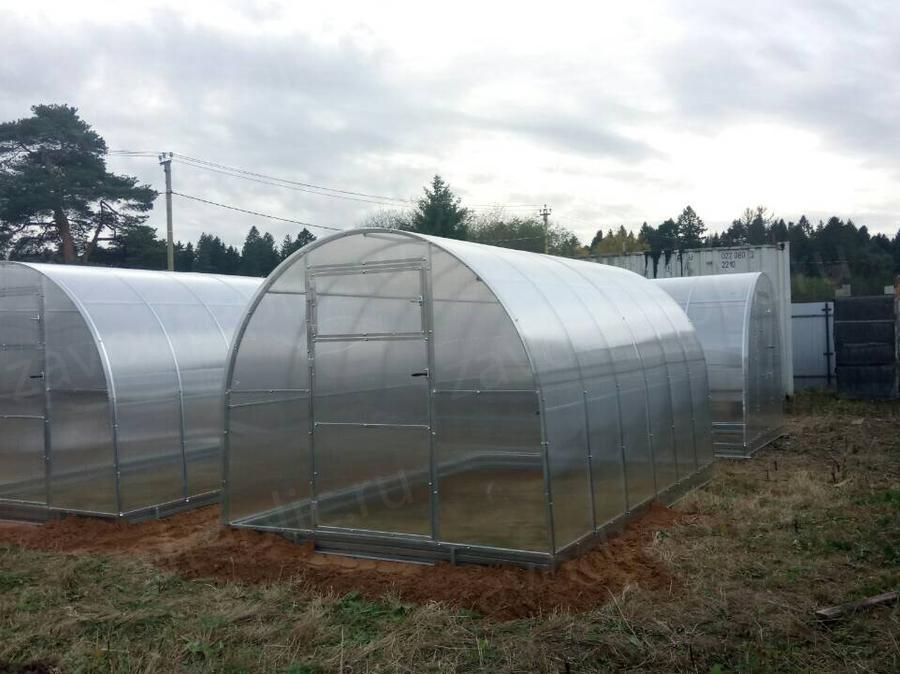 Елена. Ломоносовский р-н, Ленинградская область