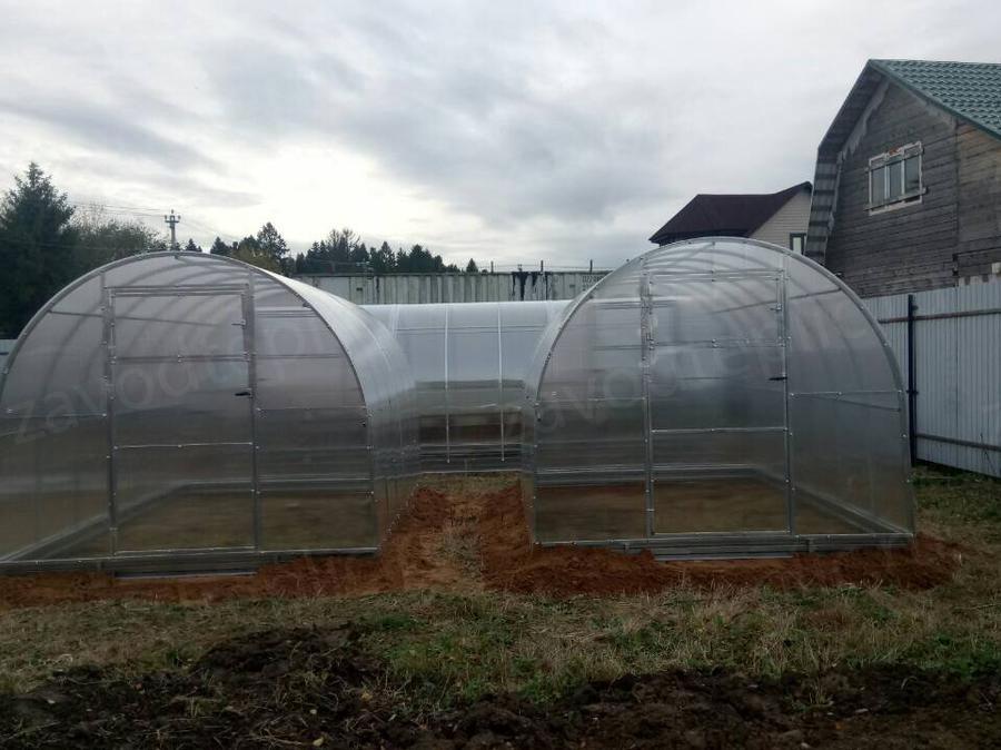 Елена. Ломоносовский р-н, Ленинградская область