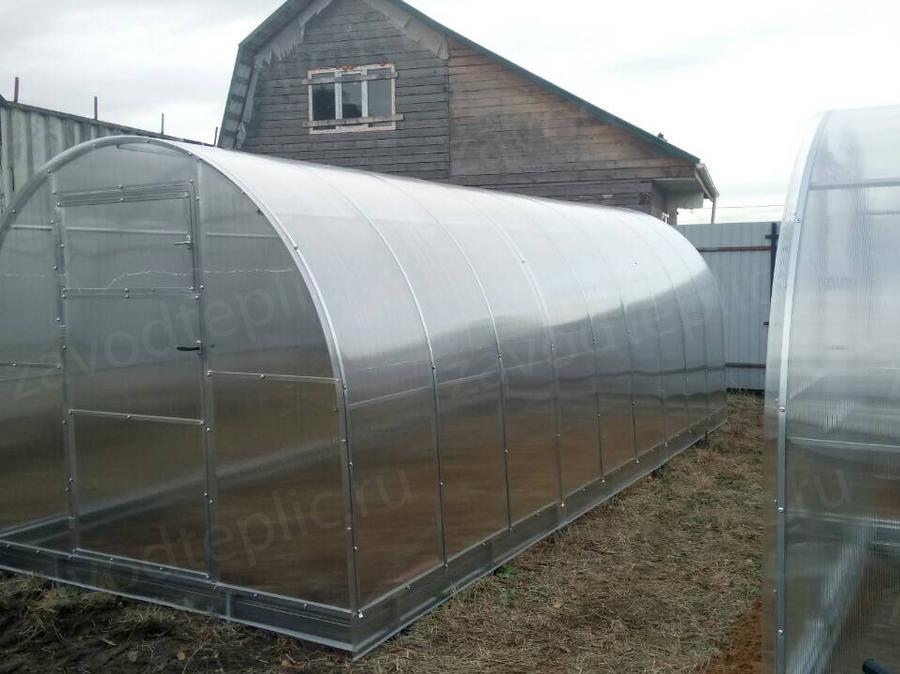 Елена. Ломоносовский р-н, Ленинградская область