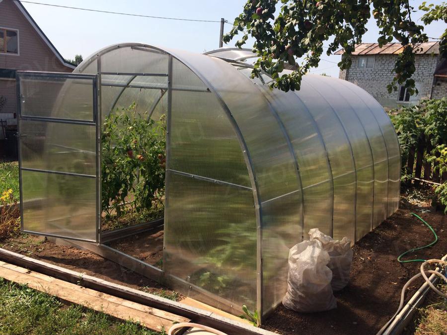 Раиса Ивановна. с.о.Тополёк. г. Казань