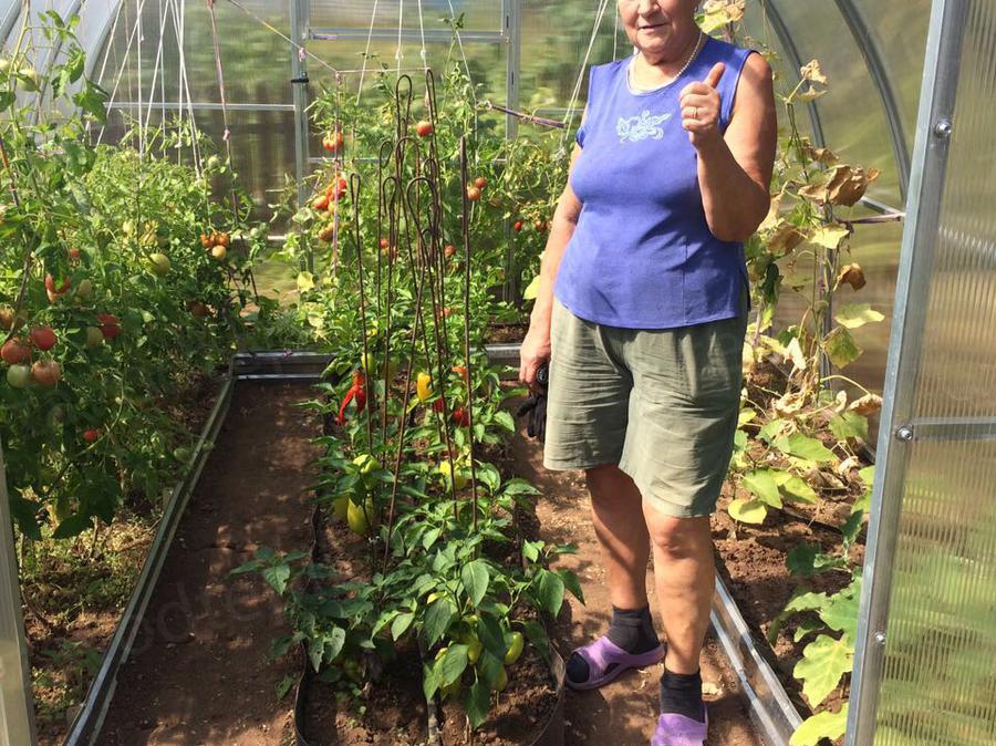 Раиса Ивановна. с.о.Тополёк. г. Казань