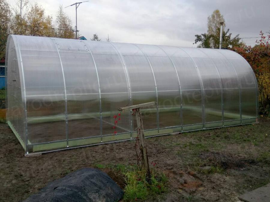 Надежда, г. Санкт-Петербург