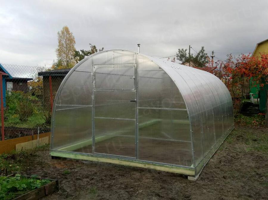 Надежда, г. Санкт-Петербург