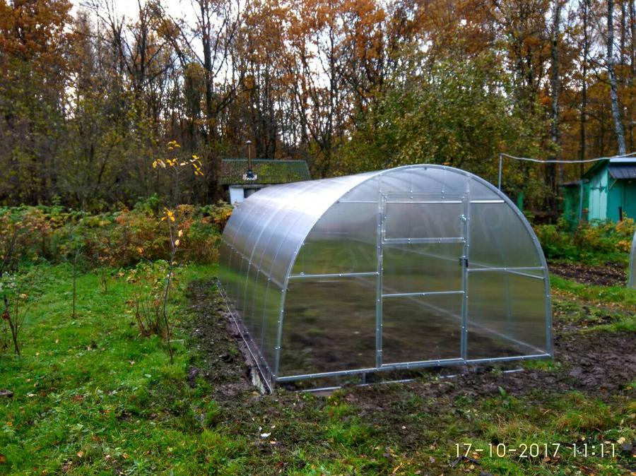 Валентина Николаевна. г. Тула. СНТ Химик