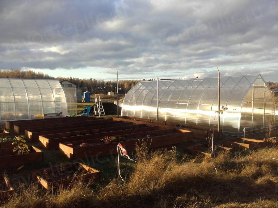 Яна Сергеевна. дер. Савельево,Солнечногорский район