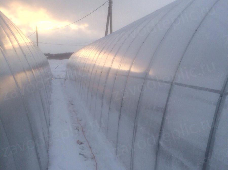 Анна Сергеевна. г. Воронеж