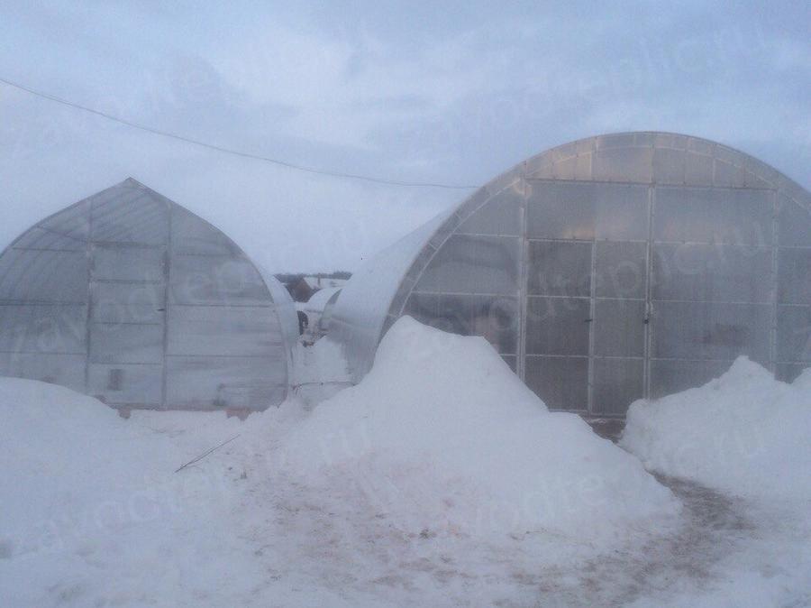 Анна Сергеевна. г. Воронеж