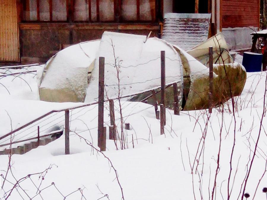 Майя Викторовна г. Санкт-Петербург