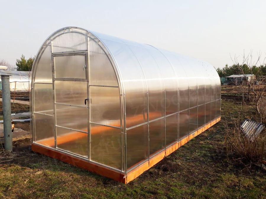 Вера Петровна. г. Саранск