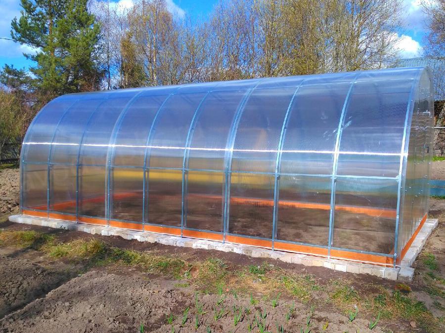 Ирина Николаевна. г. Вологда