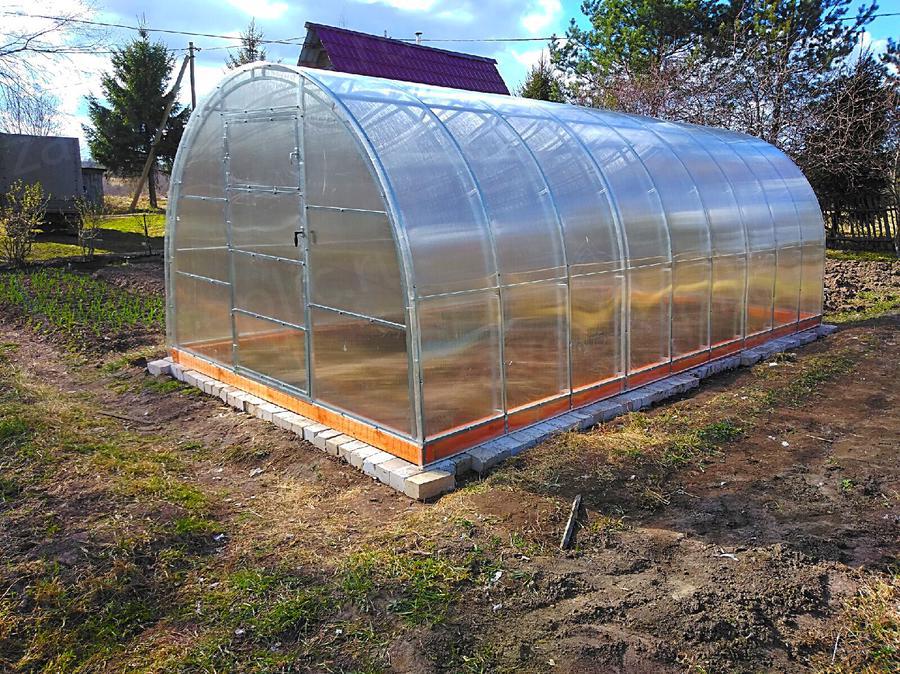 Ирина Николаевна. г. Вологда