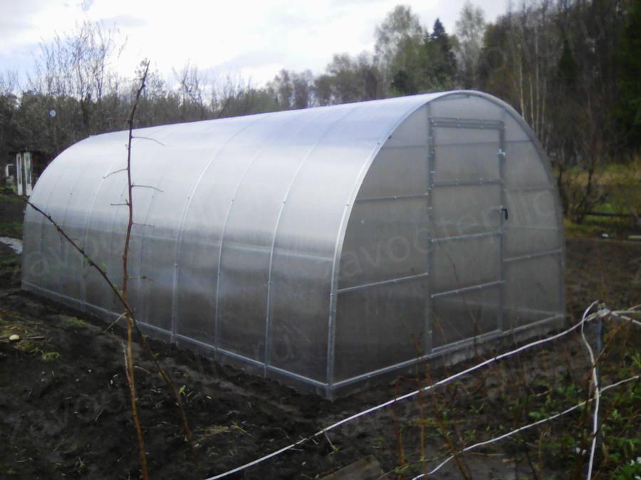 Марина Борисовна. г. Ижевск