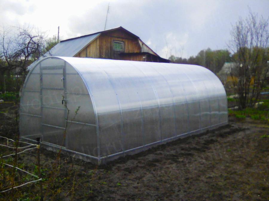 Марина Борисовна. г. Ижевск