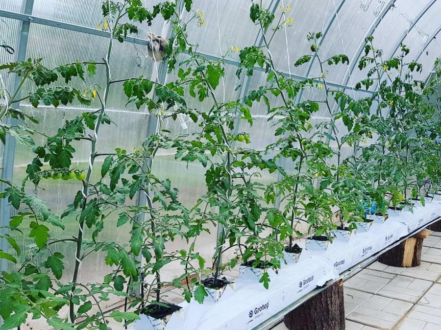 ДмитриЙ Овчинников. Московская область