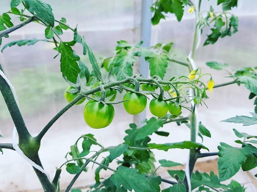 ДмитриЙ Овчинников. Московская область