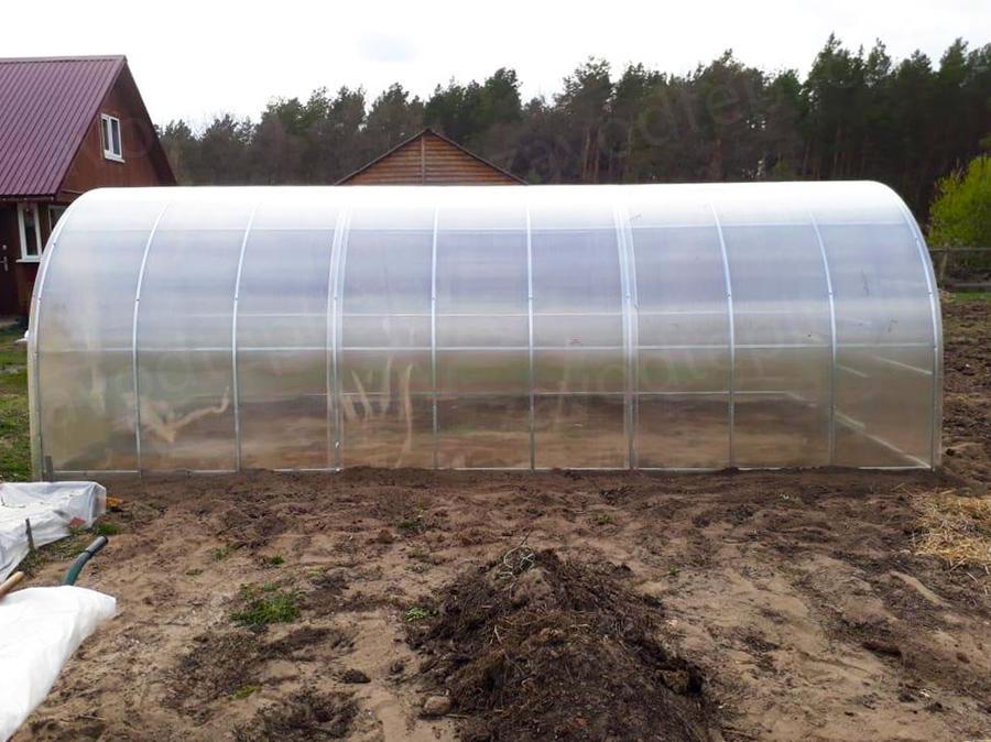 Валентина Борисовка. г. Саранск