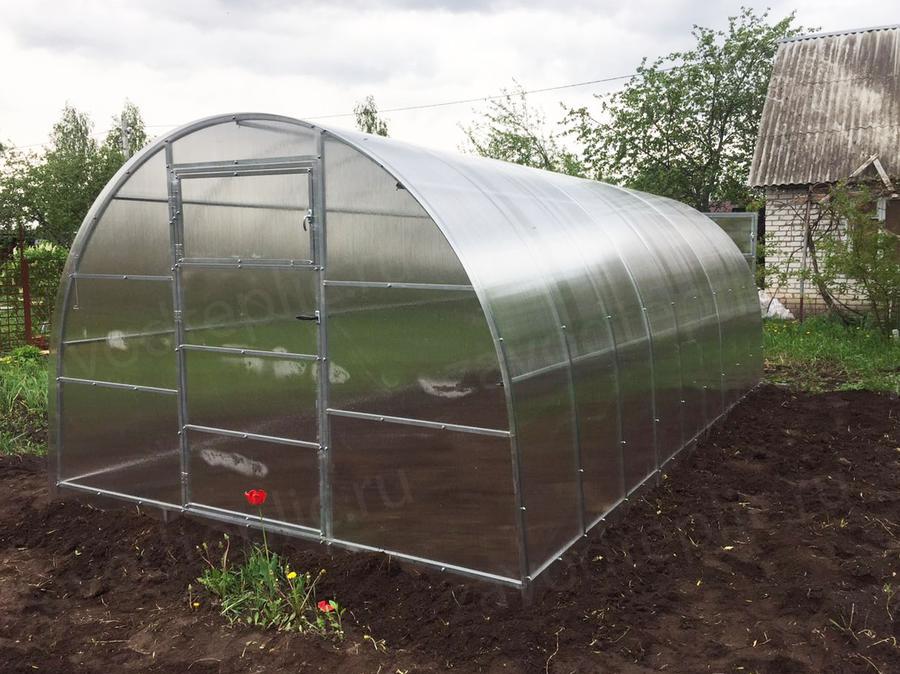 Елена Григорьевна. г. Брянск