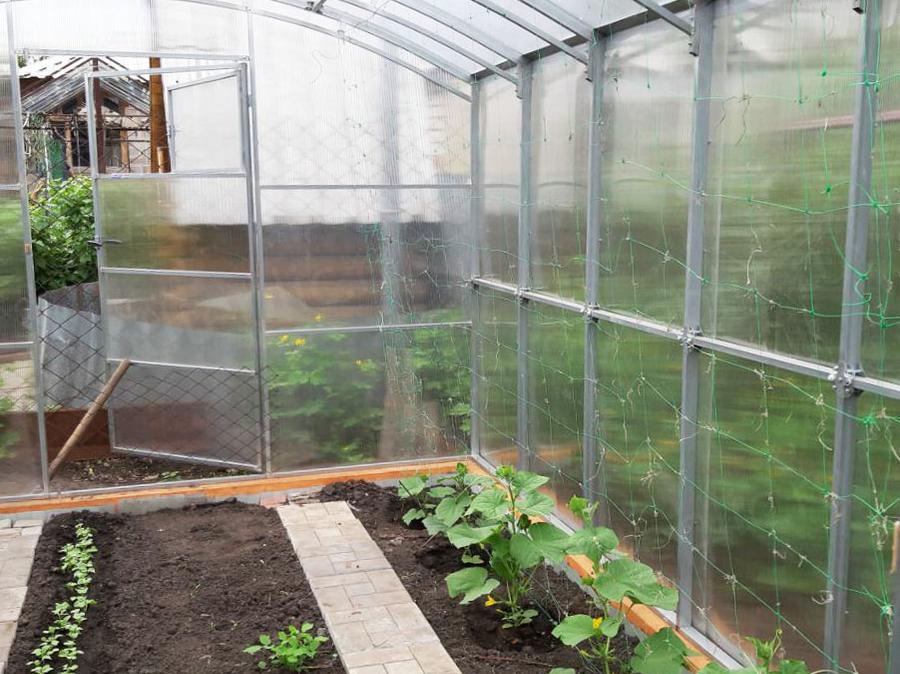 Николай Михайлович. г. Саратов