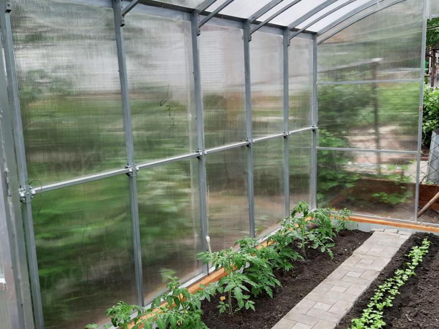 Николай Михайлович. г. Саратов