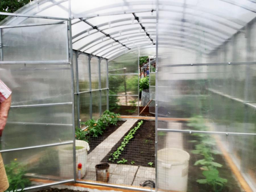 Николай Михайлович. г. Саратов