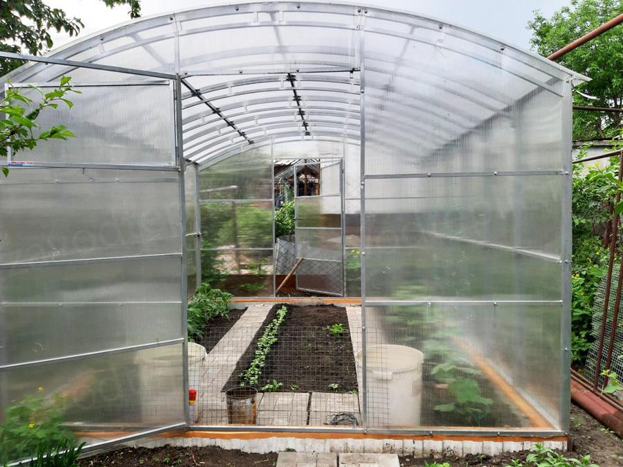 Николай Михайлович. г. Саратов