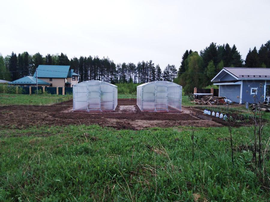 Алена и Юрий. г. Пермь