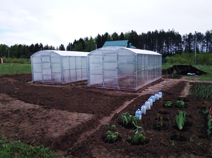 Алена и Юрий. г. Пермь