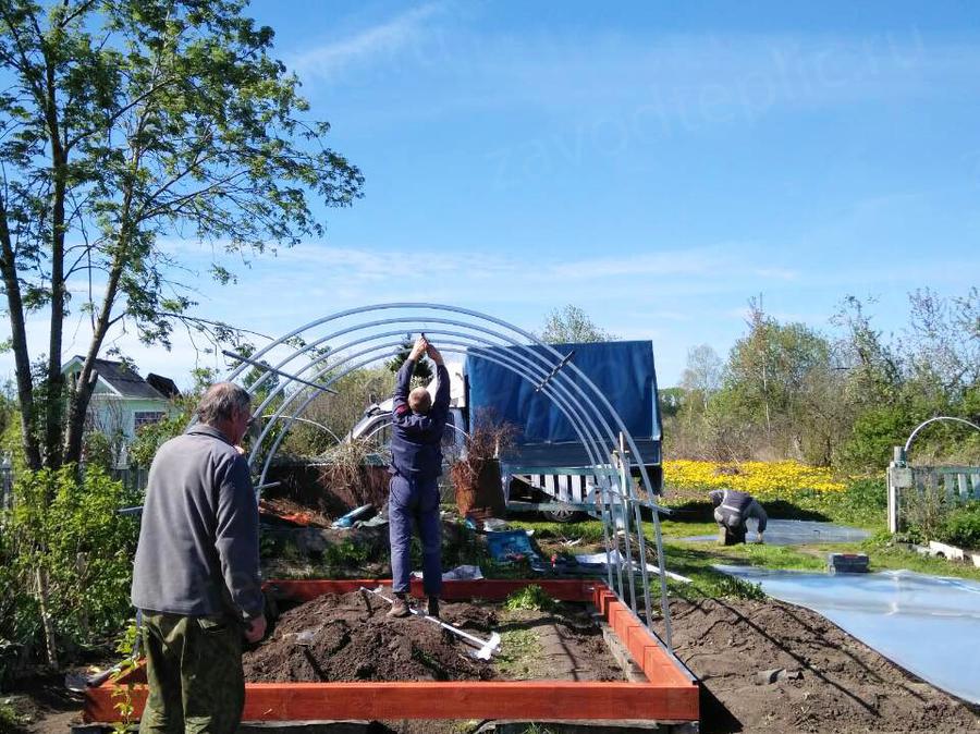 Марина. г. Вологда