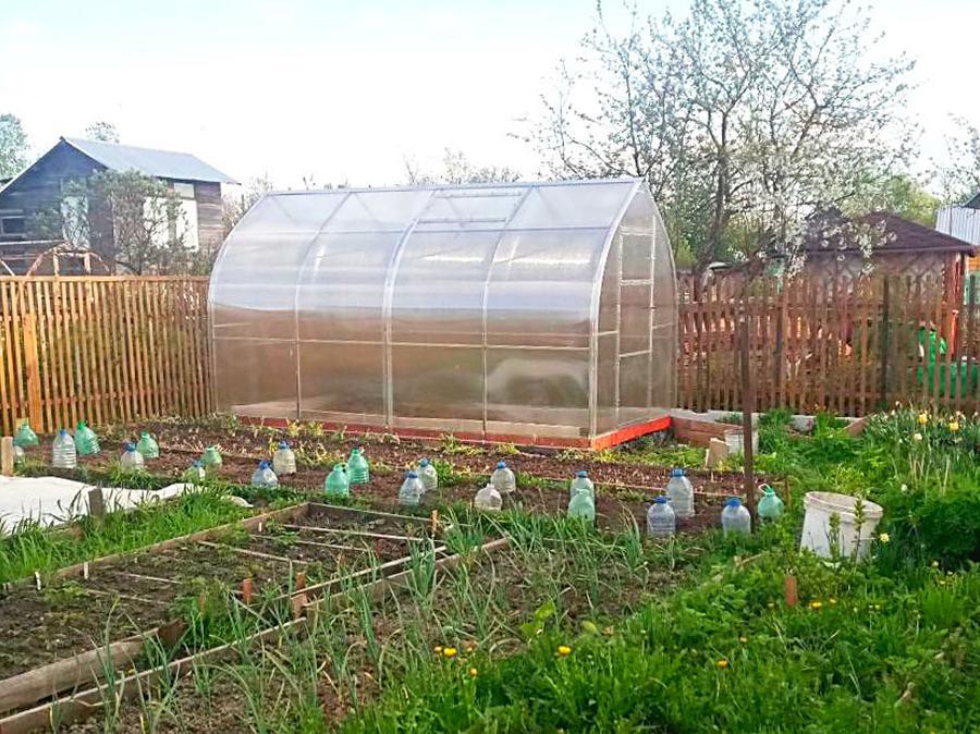 Татьяна. Вологодская область