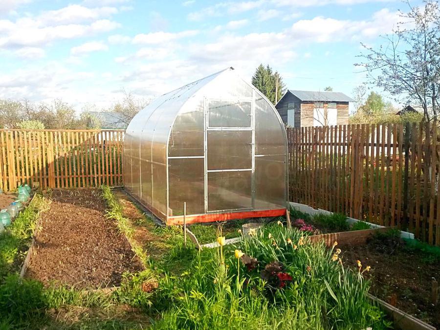 Татьяна. Вологодская область