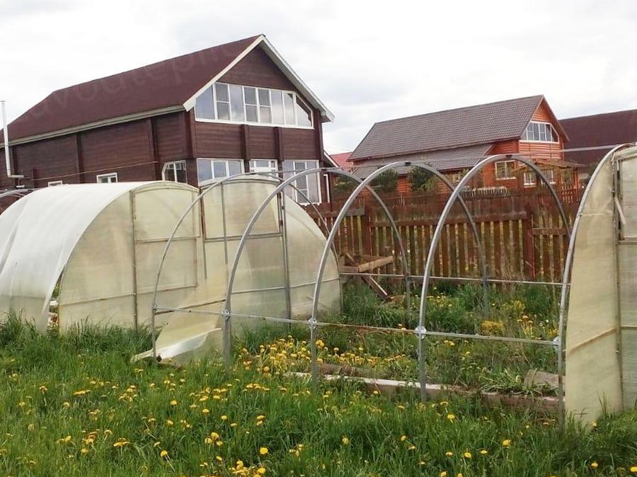 Роман Сергеевич. г. Сергиев Посад