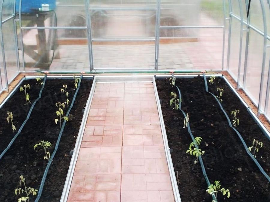 Роман Сергеевич. г. Сергиев Посад