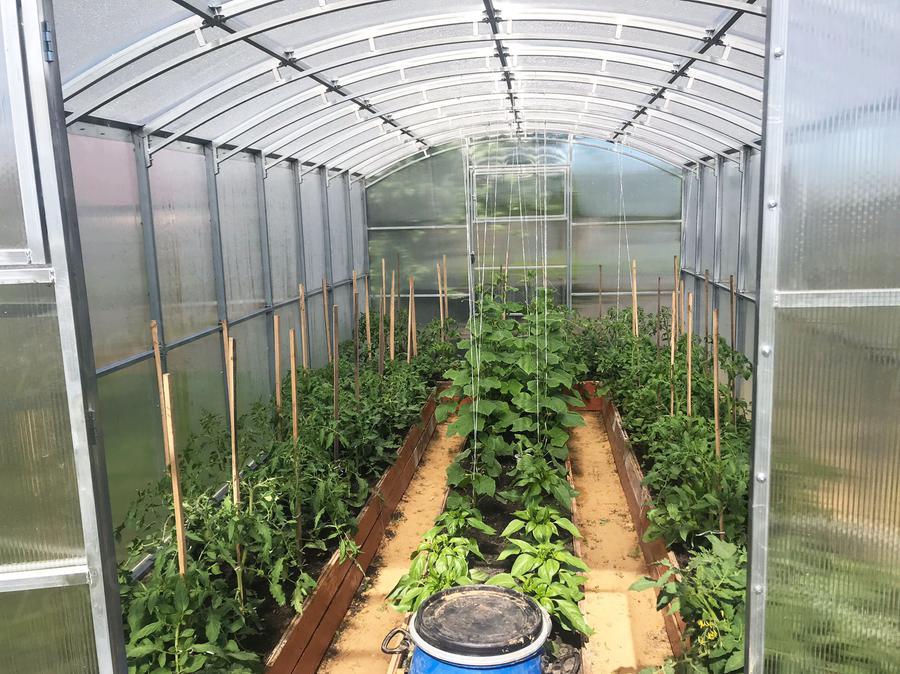 Павел Миронов. г. Липецк