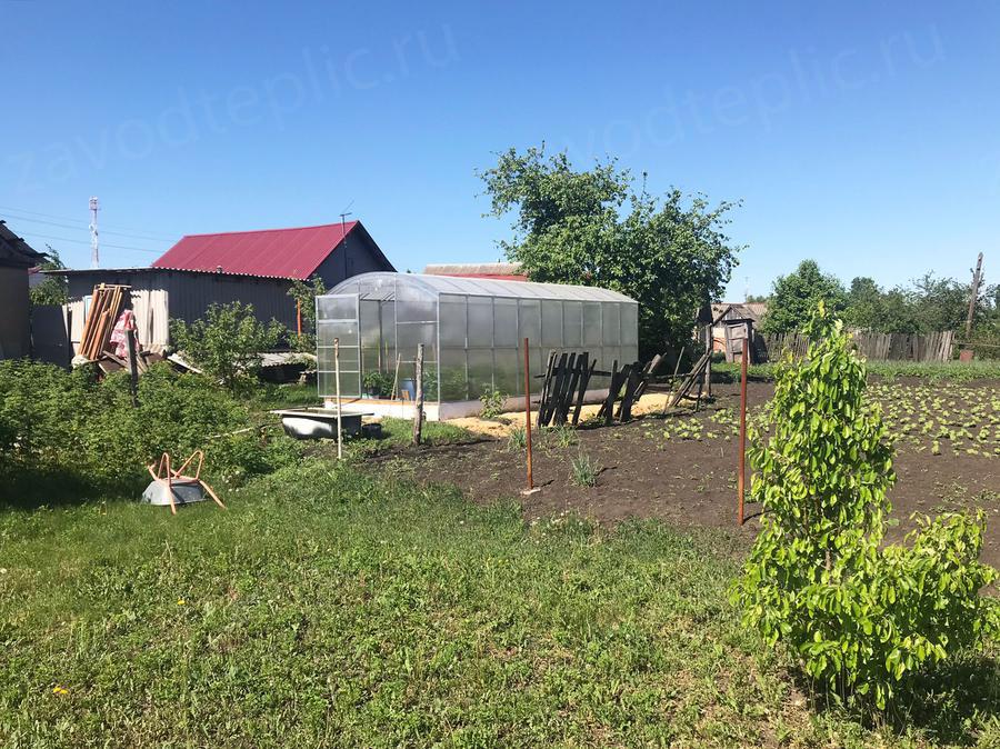 Павел Миронов. г. Липецк