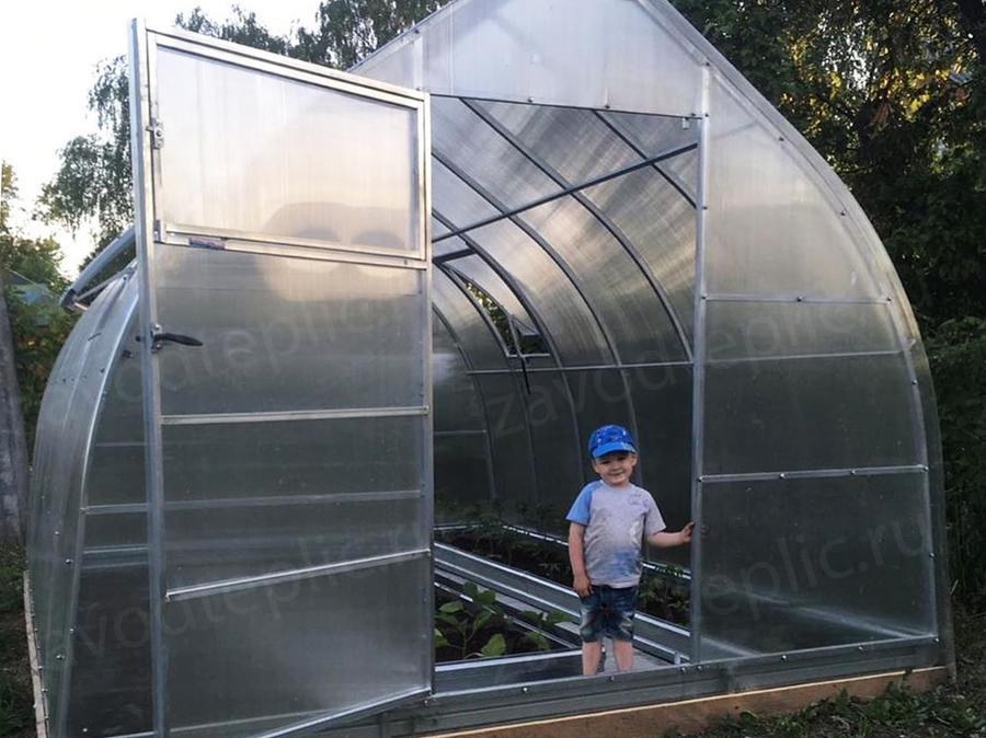 Вероника. г. Коломна