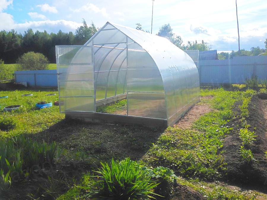 Галина Михайловна. Вологодская область