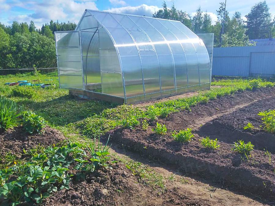 Галина Михайловна. Вологодская область