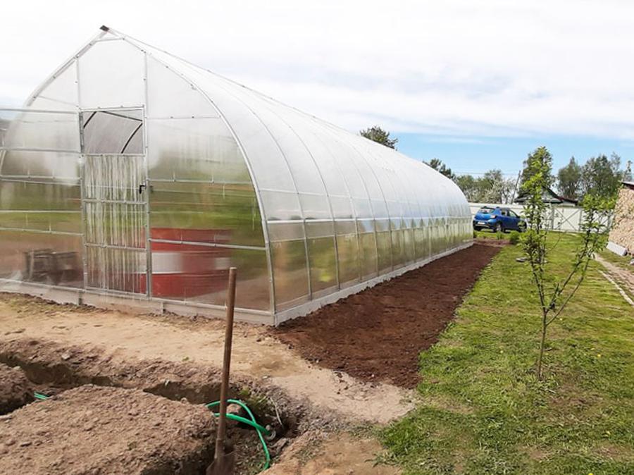 Евгения Никитина. г. Великий Новгород