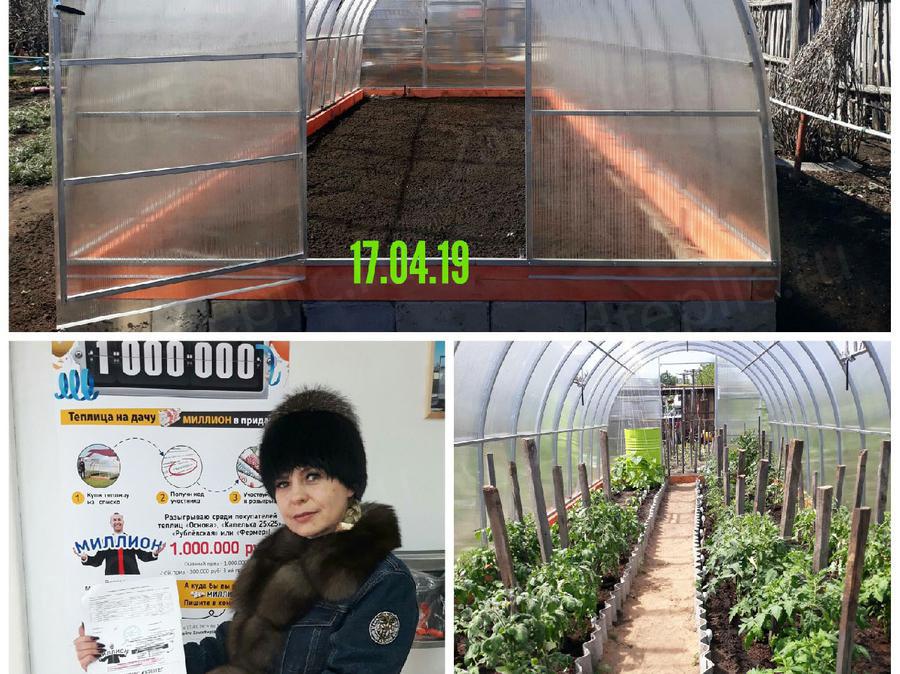 Надежда Цыбульская. г. Ульяновск