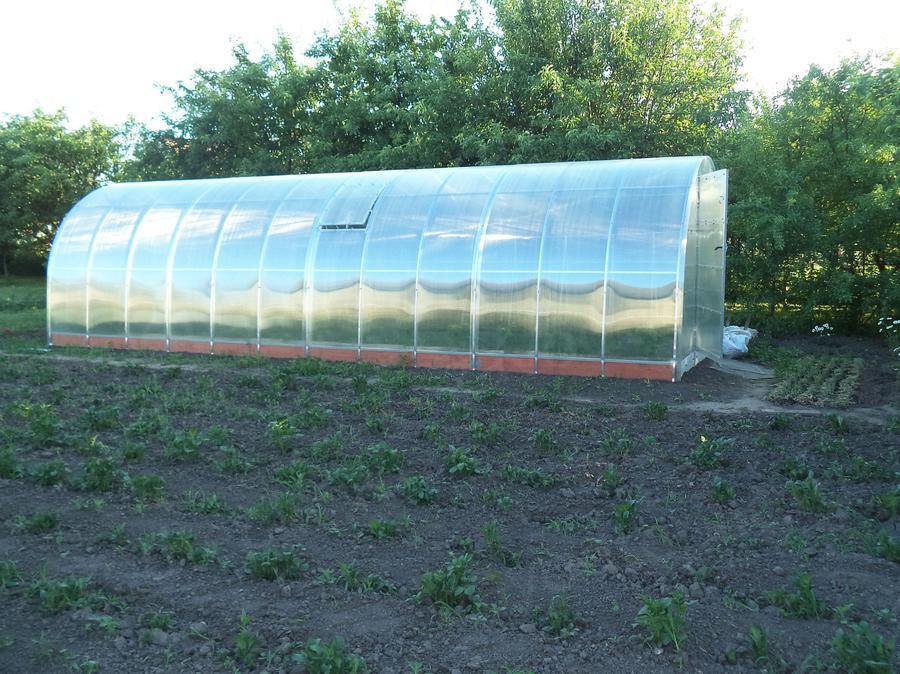 Иляна Алфёрова. г. Орел