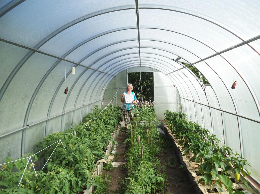 Иляна Алфёрова. г. Орел