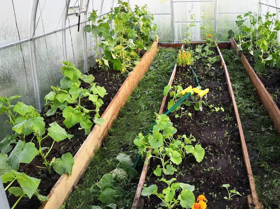 Мария. Тульская область