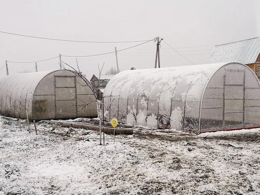 Мария. Тульская область