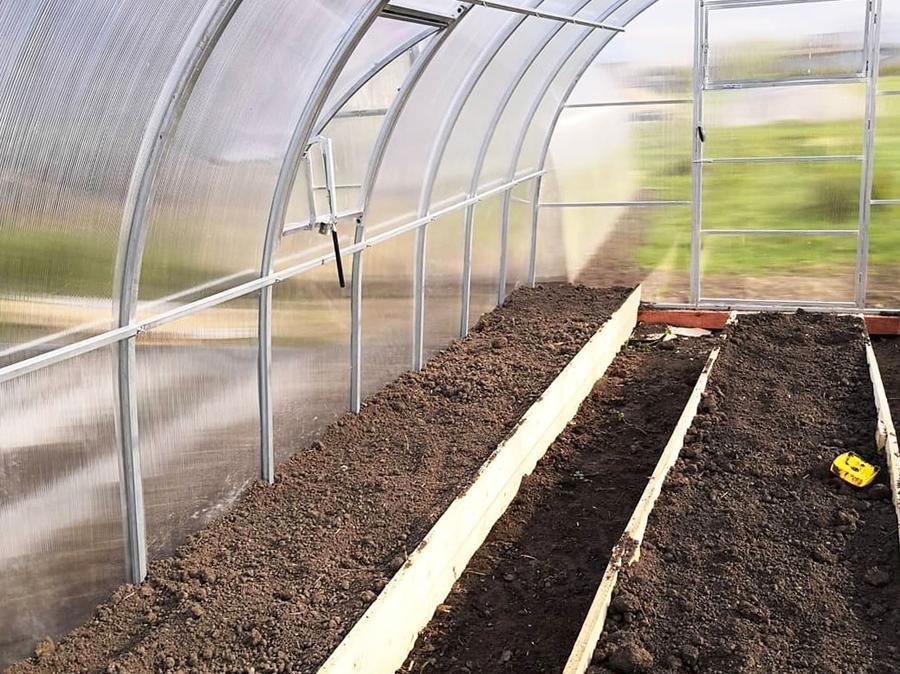 Мария. Тульская область