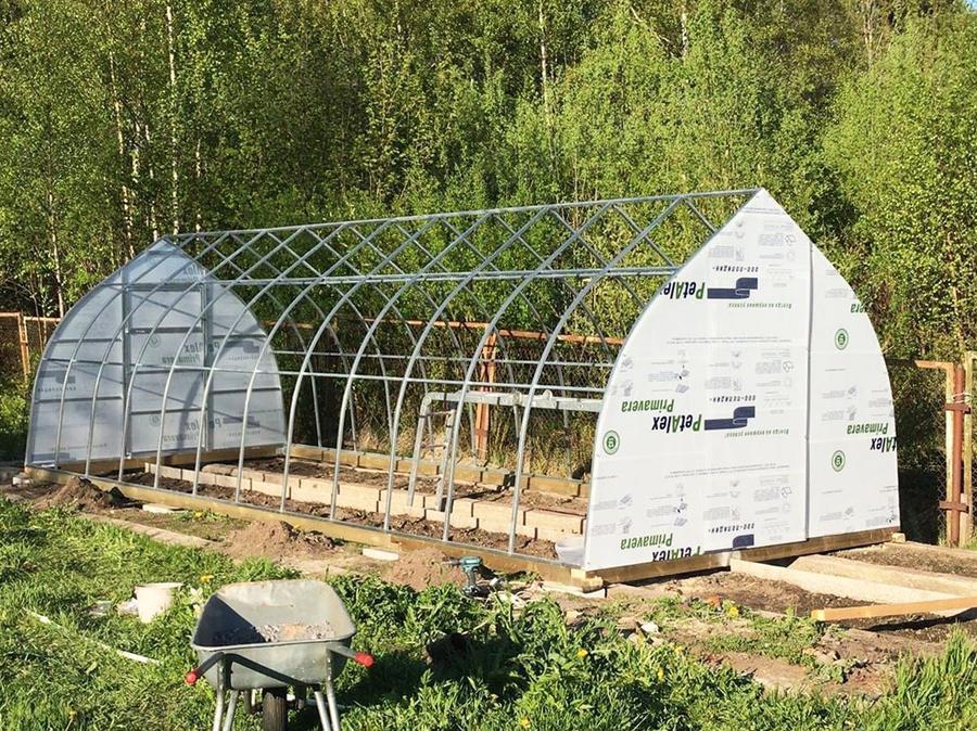 Николай. г. Санкт-Петербург