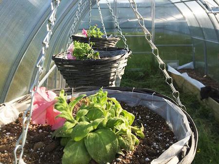 Наталия Вепрёва. г. Вологда