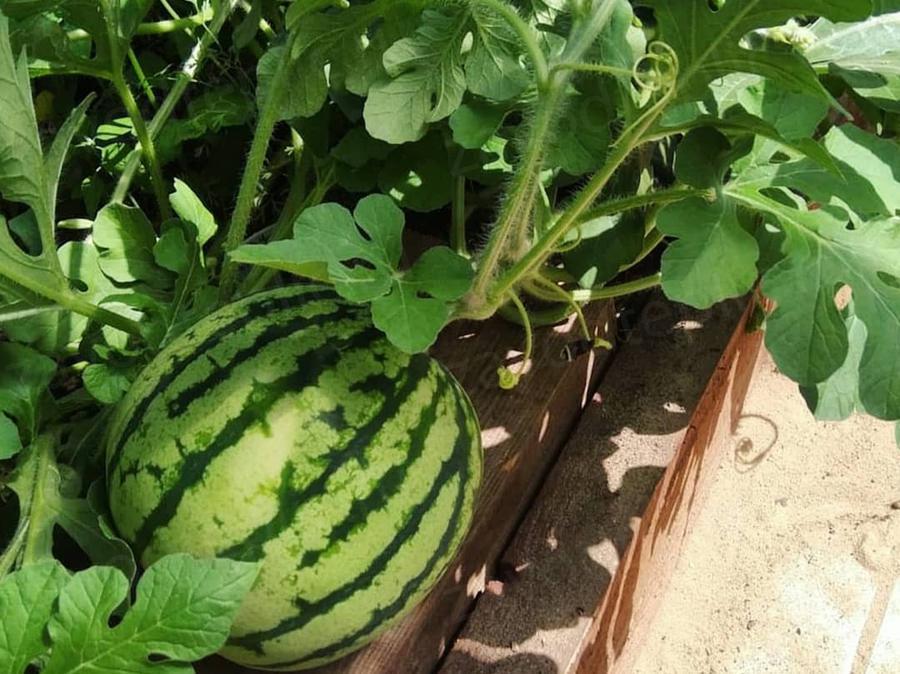 Ольга. Московская область