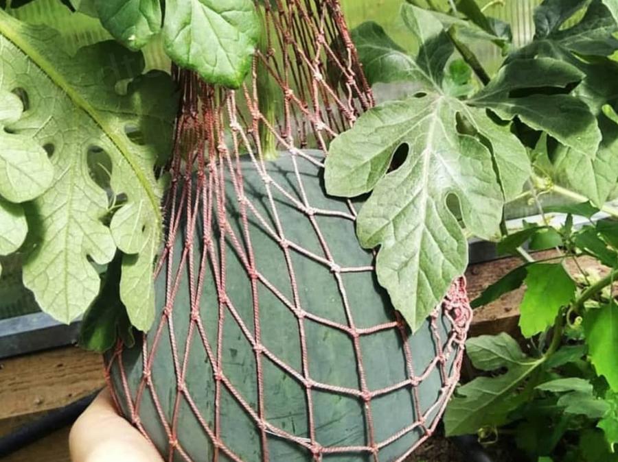 Ольга. Московская область