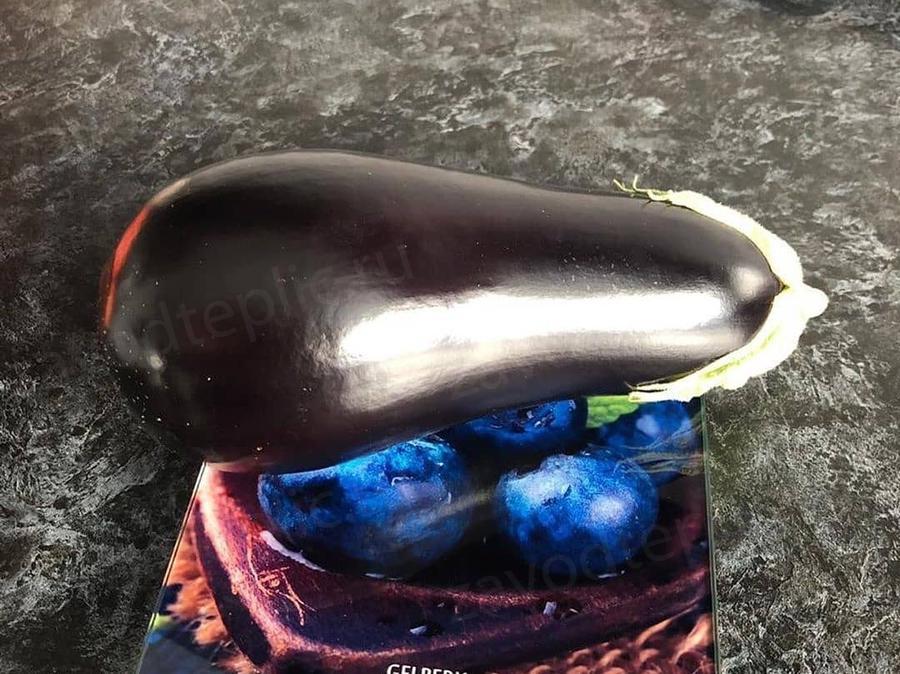 Елена. Московская область