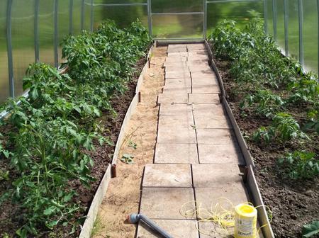 Ирина Киселева. г. Санкт-Петербург